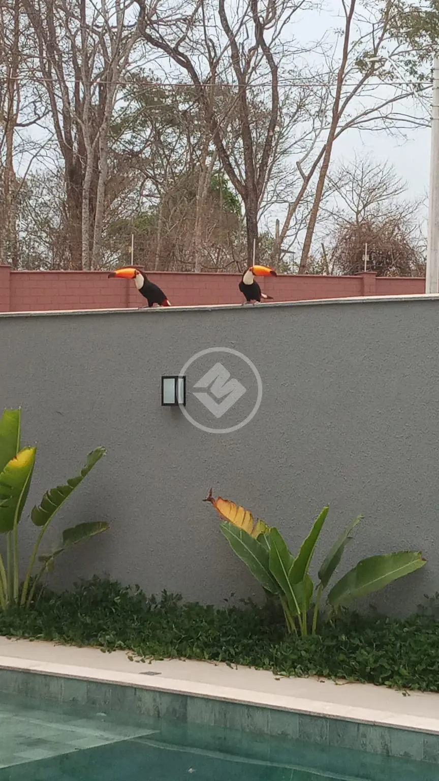 Imagem 6 - Sobrado Em Condomínio em Jardins Capri, Senador Canedo - GO