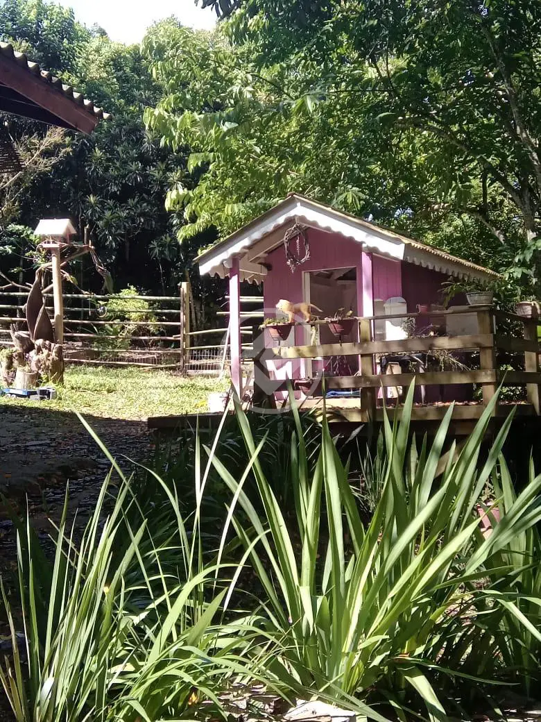 Imagem 3 - Sítio em Centro, Santo Amaro da Imperatriz - SC