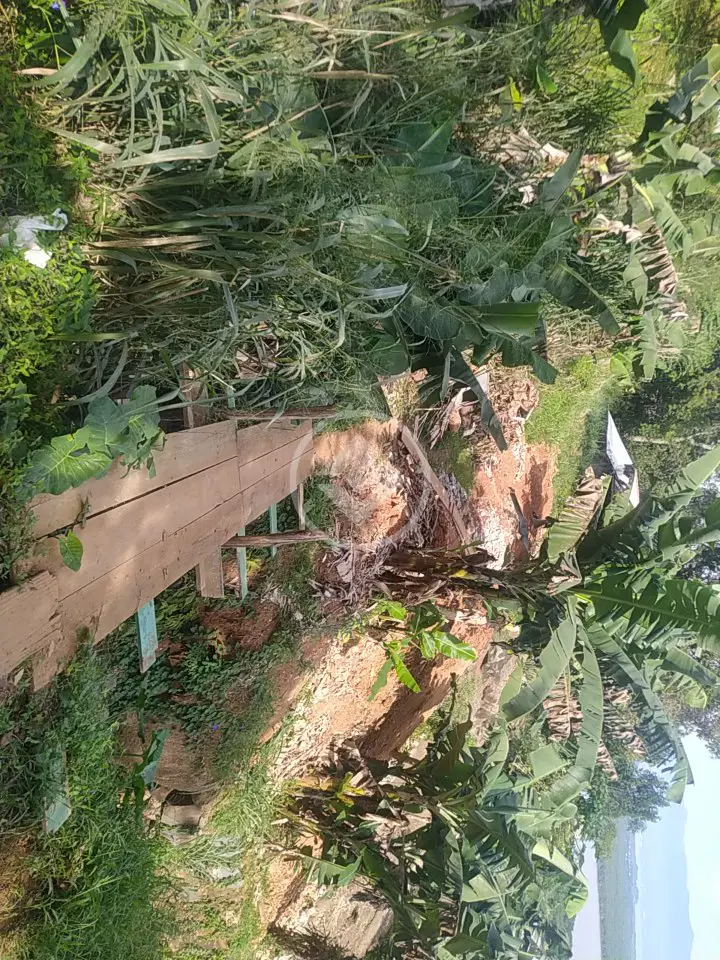 Imagem 5 - Terreno em Costeira do Pirajubaé, Florianópolis - SC