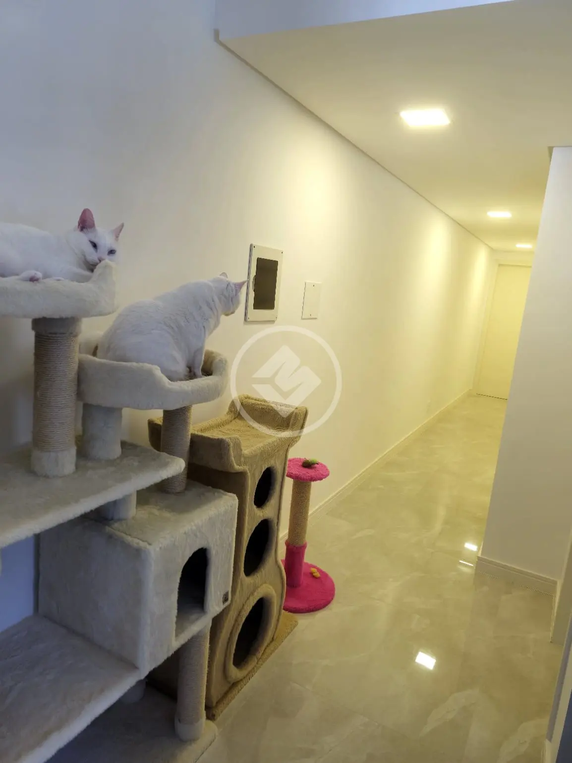 Imagem 6 - Apartamento em Praia de Fora, Palhoça - SC