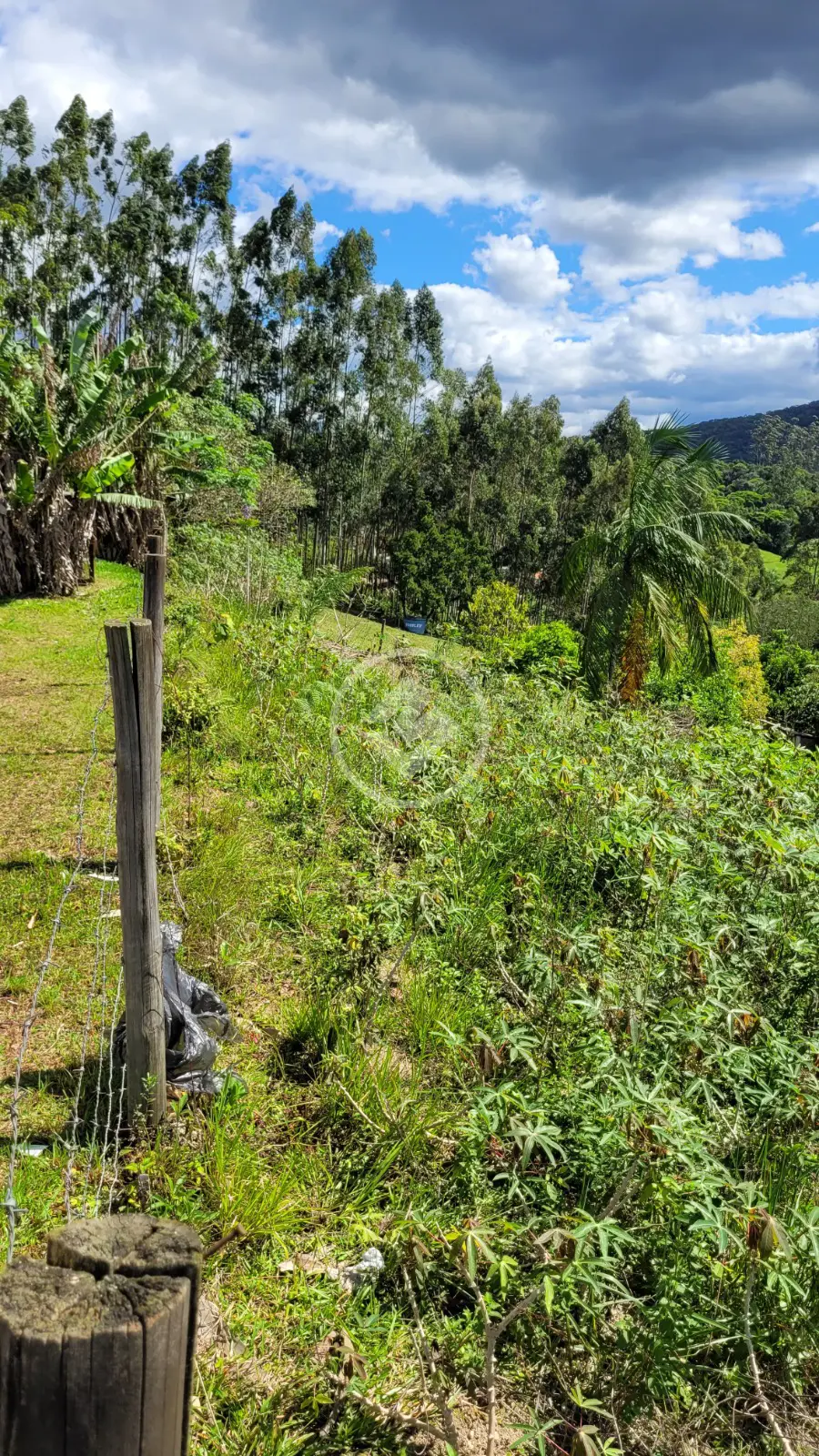 Imagem 4 - Terreno em Centro, Santo Amaro da Imperatriz - SC