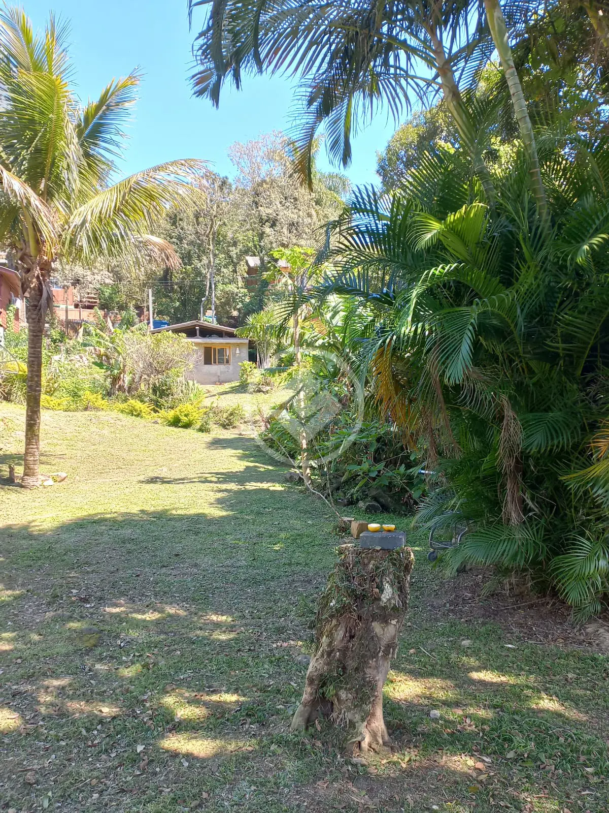 Imagem 4 - Casa em Lagoa da Conceição, Florianópolis - SC