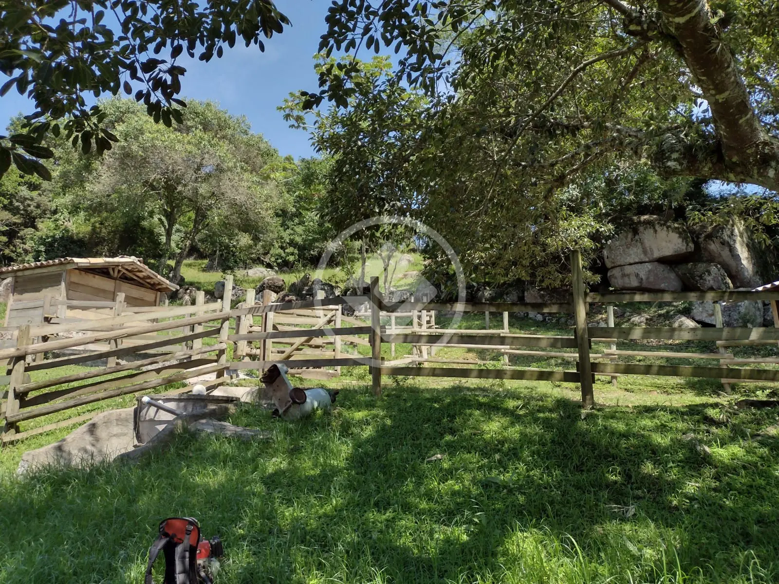 Sítio JURERÊ, Florianópolis - SC — foto 2
