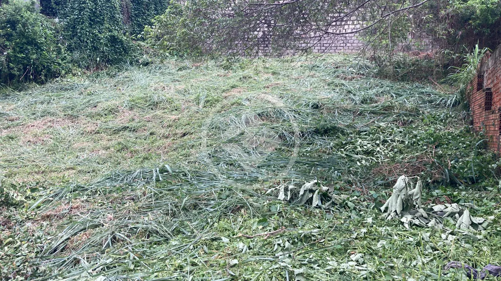 Imagem 1 - Terreno em Agronômica, Florianópolis - SC