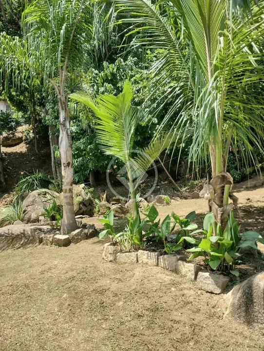 Imagem 6 - Apartamento em Monte Verde, Florianópolis - SC