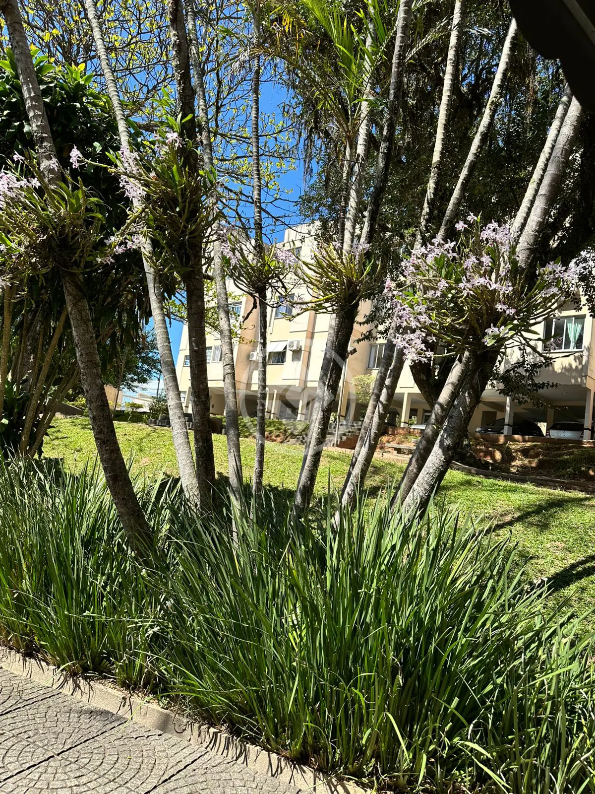 Image 9 - Apartamento em Capoeiras, Florianópolis - SC