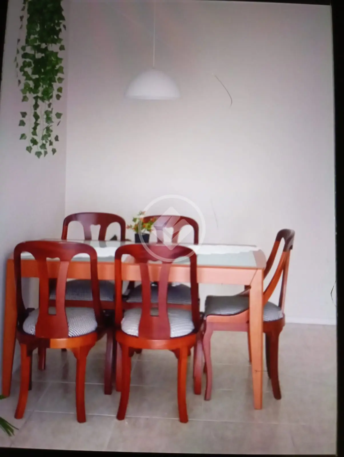 Imagem 4 - Apartamento em Capoeiras, Florianópolis - SC
