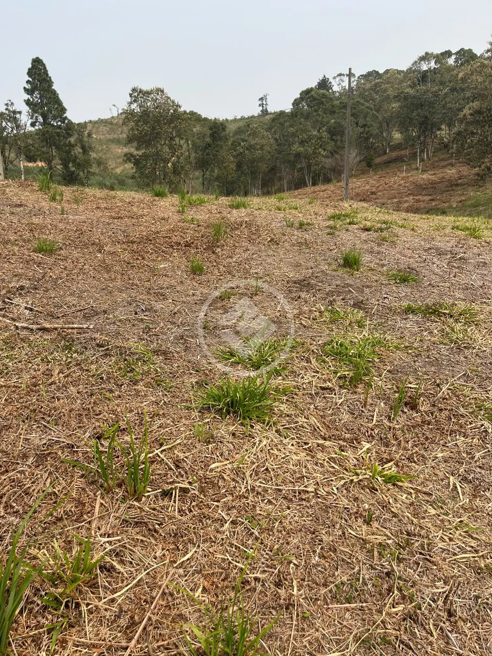Terreno Condomínio Invernadinha, Rancho Queimado - SC — foto 2