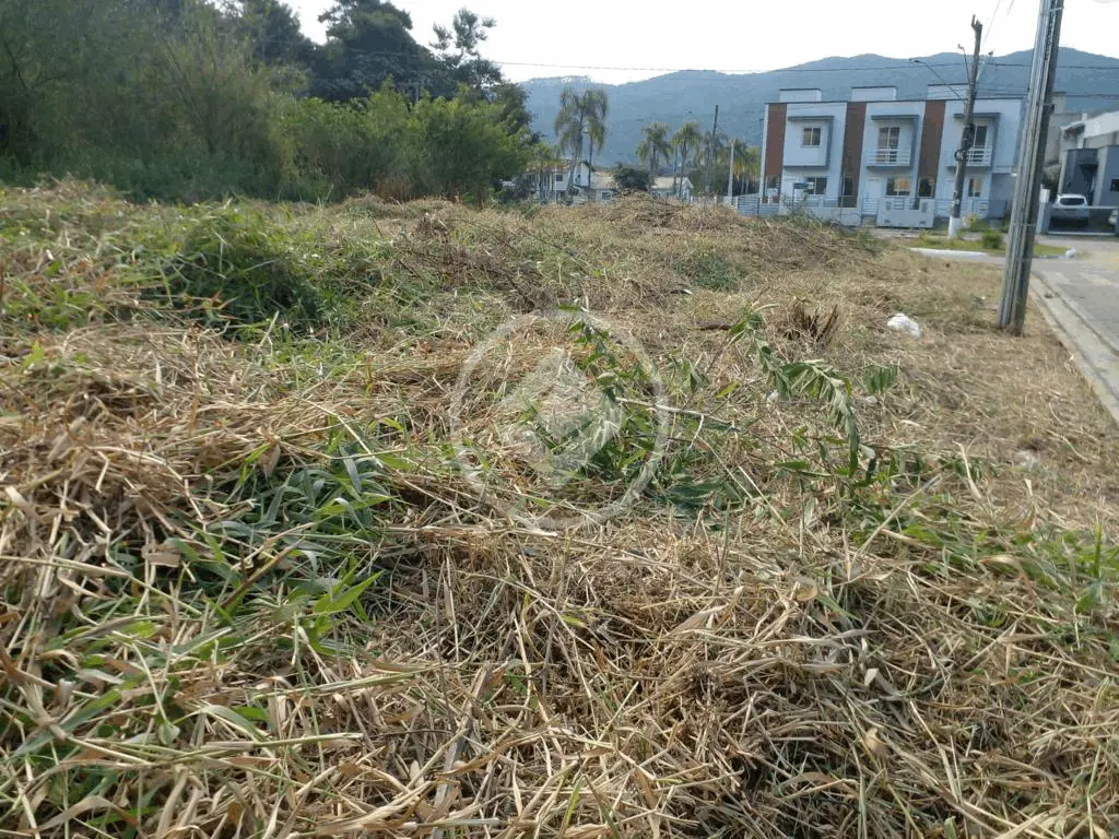 Imagem 2 - Terreno em Bela Vista, Palhoça - SC
