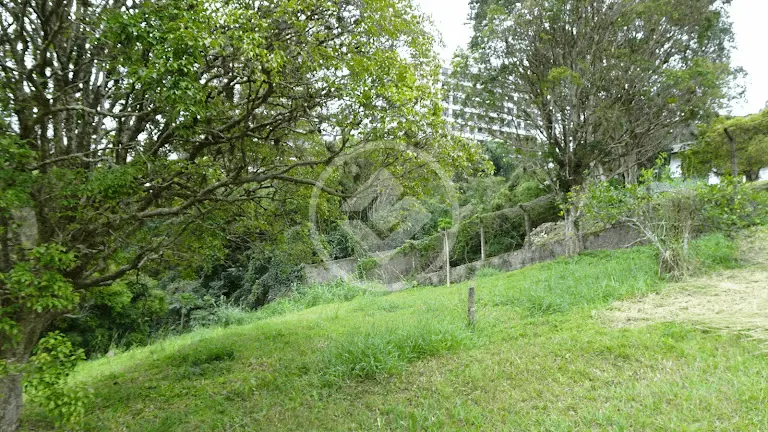 Imagem 5 - Terreno em Itacorubi, Florianópolis - SC