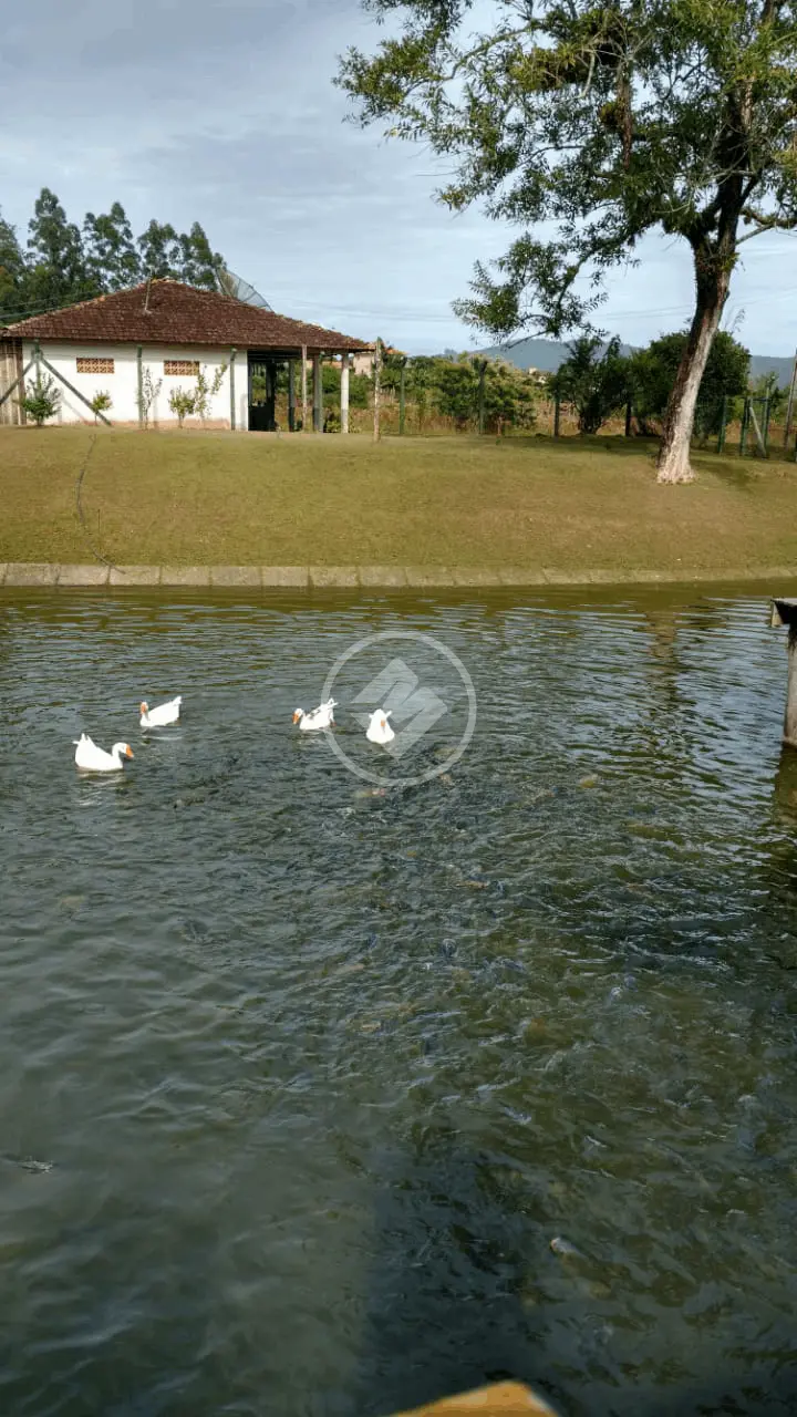 Sítio Beira Rio, Biguaçu - SC — foto 2