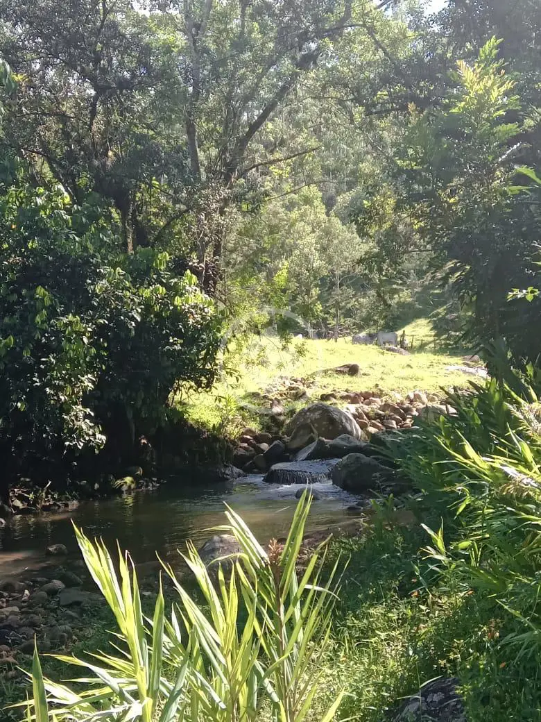 Image 8 - Sítio em Centro, Santo Amaro da Imperatriz - SC