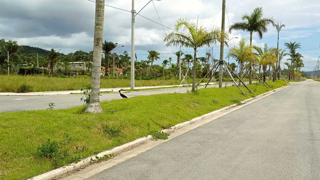 Image 16 - Apartamento em Vargem Grande, Florianópolis - SC