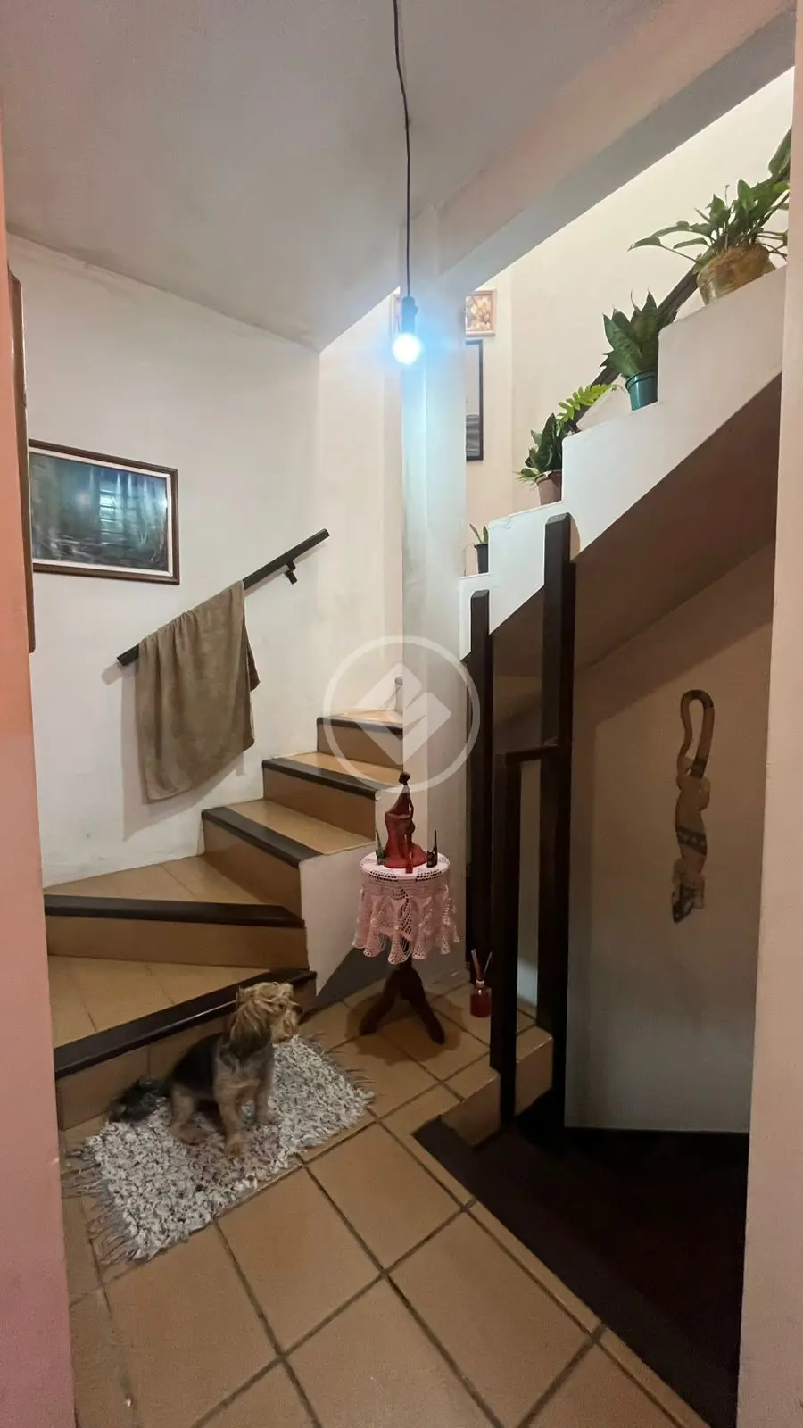 Imagem 2 - Cobertura Duplex em CANASVIEIRAS, Florianópolis - SC