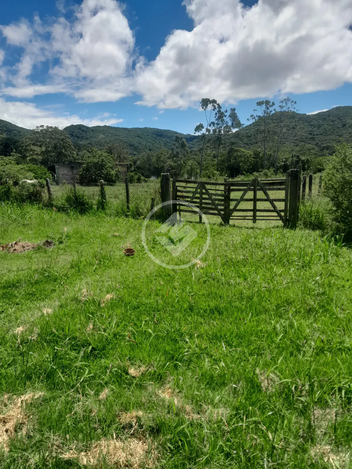 Imagem 1 - Sítio em Ratones, Florianópolis - SC