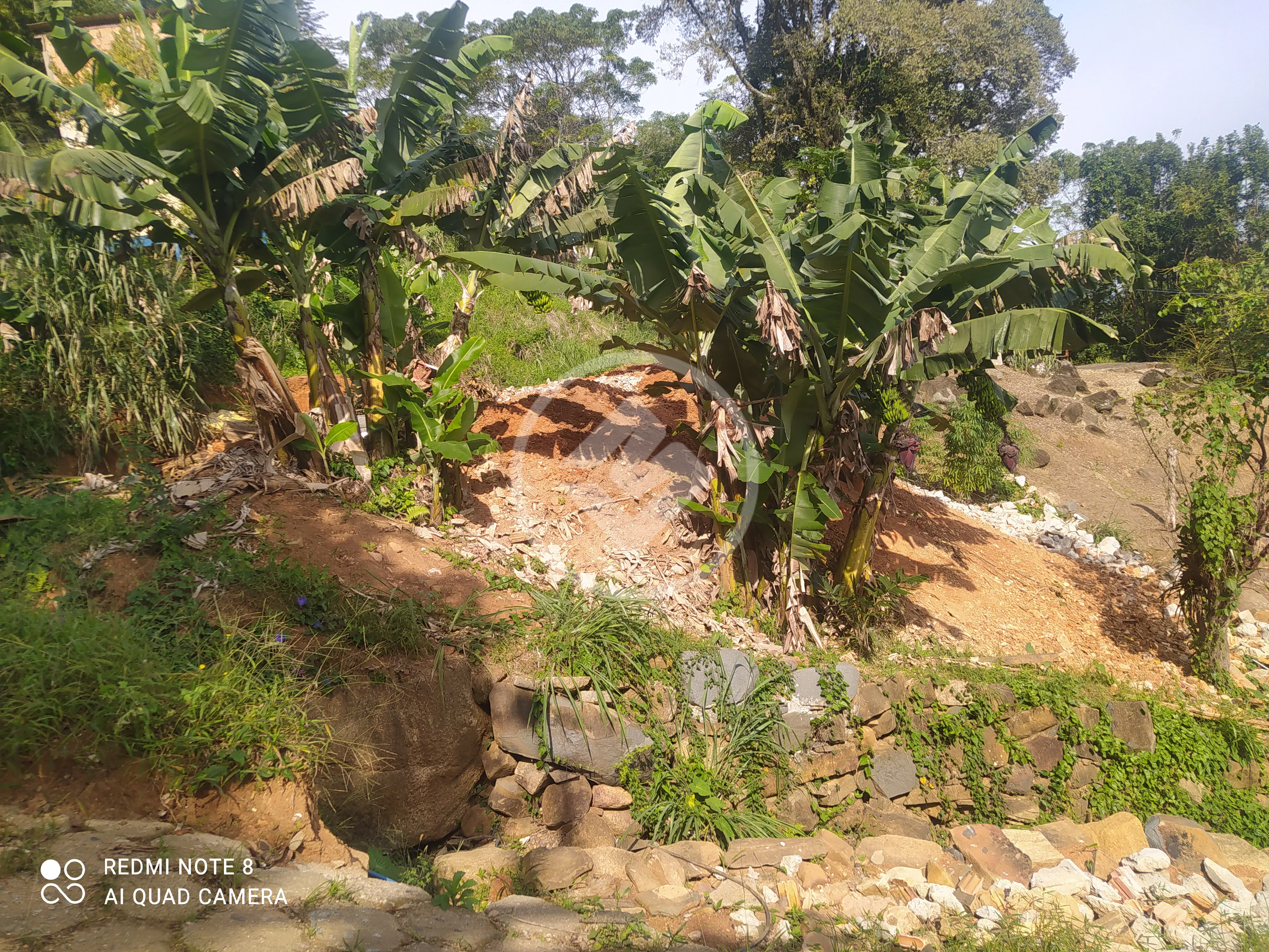 Terreno Costeira do Pirajubaé, Florianópolis - SC — foto 2