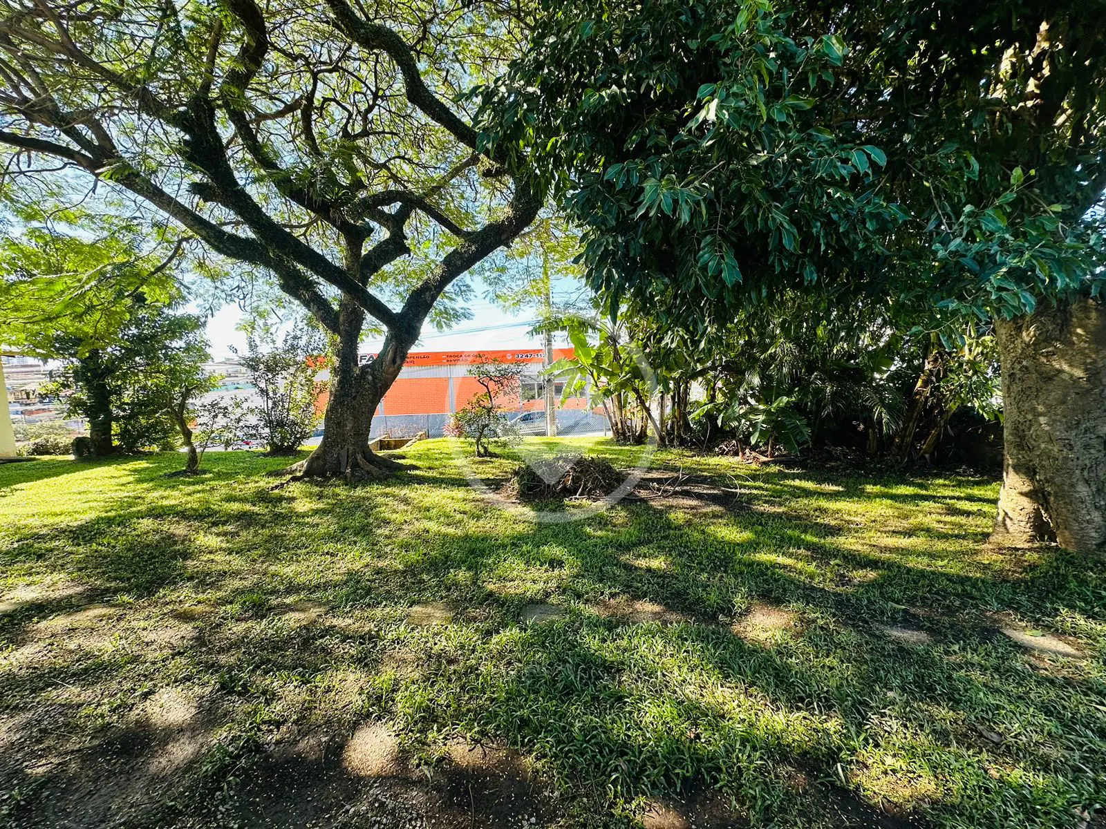 Imagem 5 - Terreno em Barreiros, São José - SC