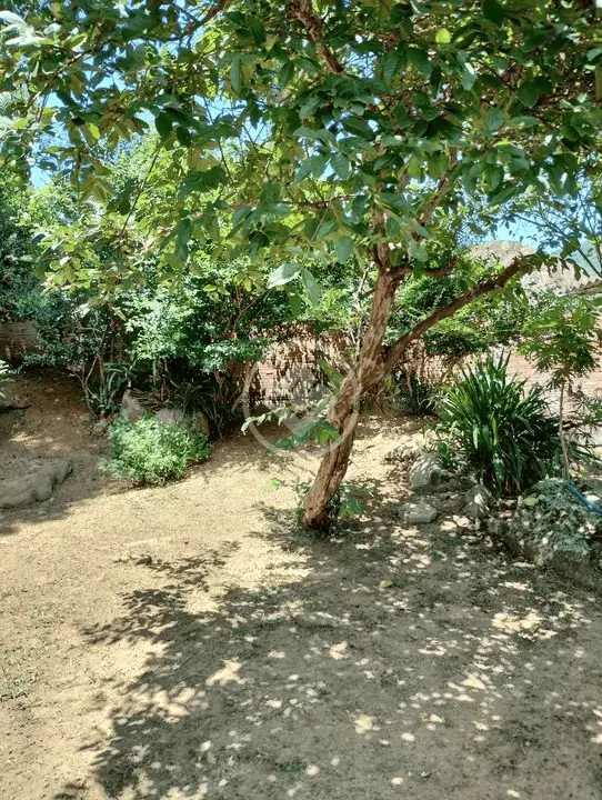 Imagem 5 - Apartamento em Monte Verde, Florianópolis - SC