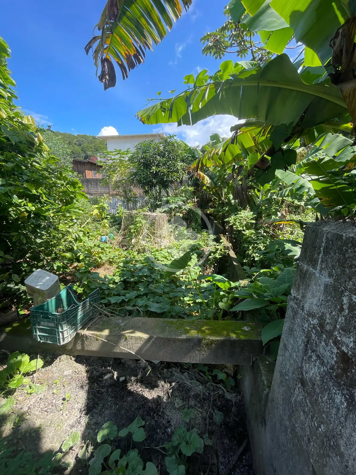 Imagem 5 - Terreno em Ipiranga, São José - SC