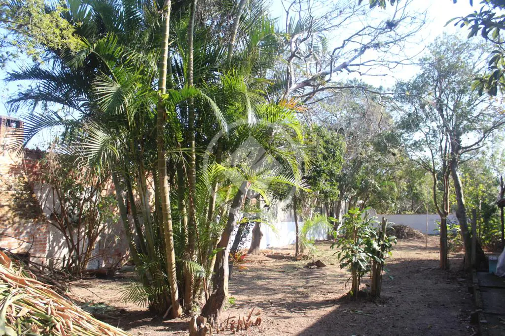Imagem 5 - Terreno em Tapera da Base, Florianópolis - SC
