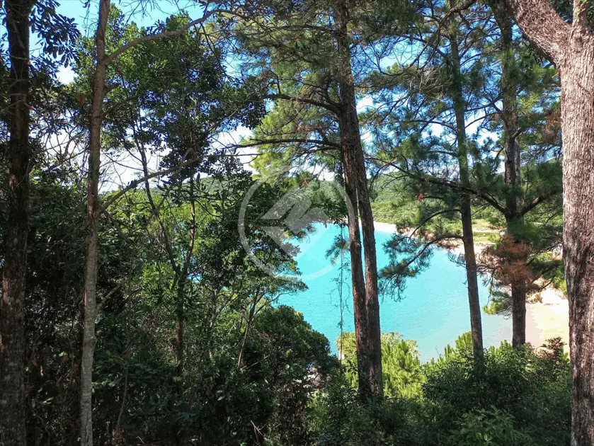 Imagem 6 - Terreno em Costeira da Armação, Governador Celso Ramos - SC