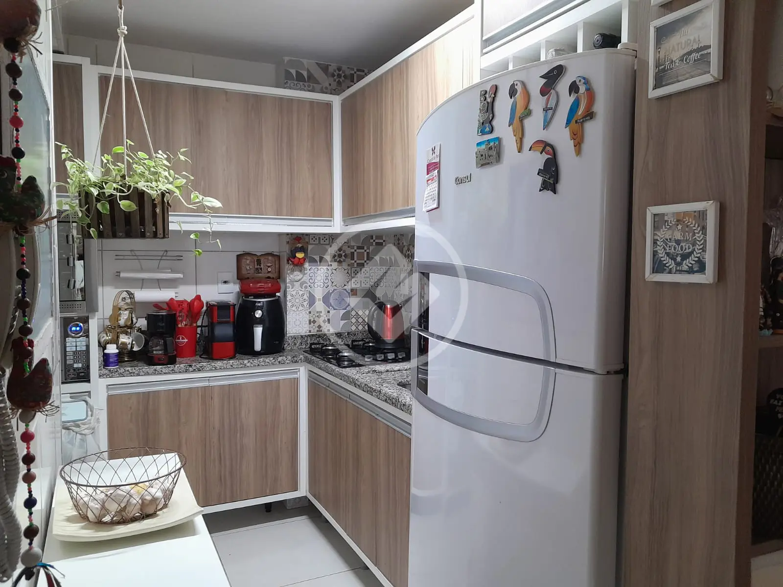 Imagem 5 - Apartamento em SERRARIA, São José - SC