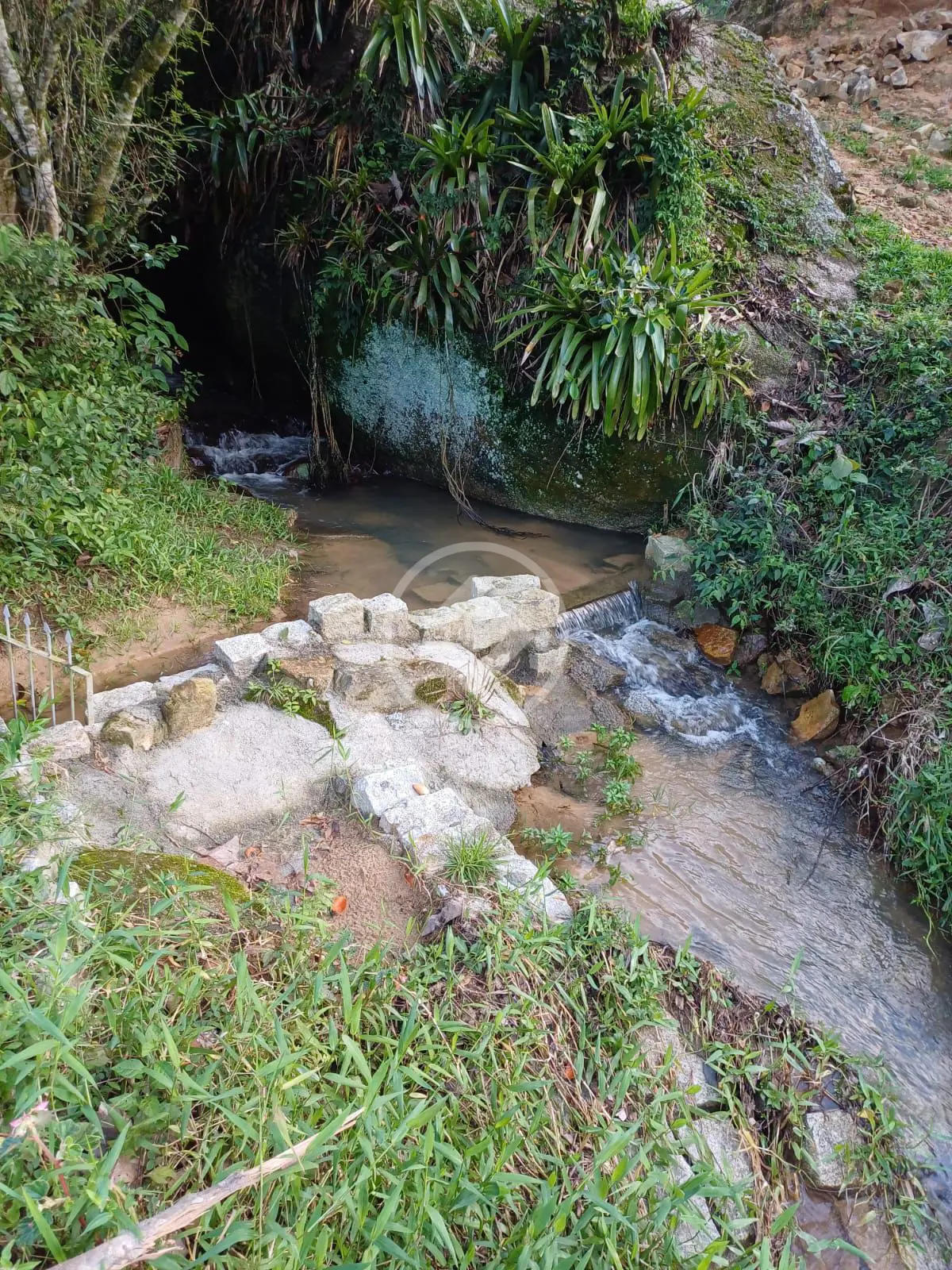 Imagem 3 - Sítio em Zona Rural, São Pedro de Alcântara - SC