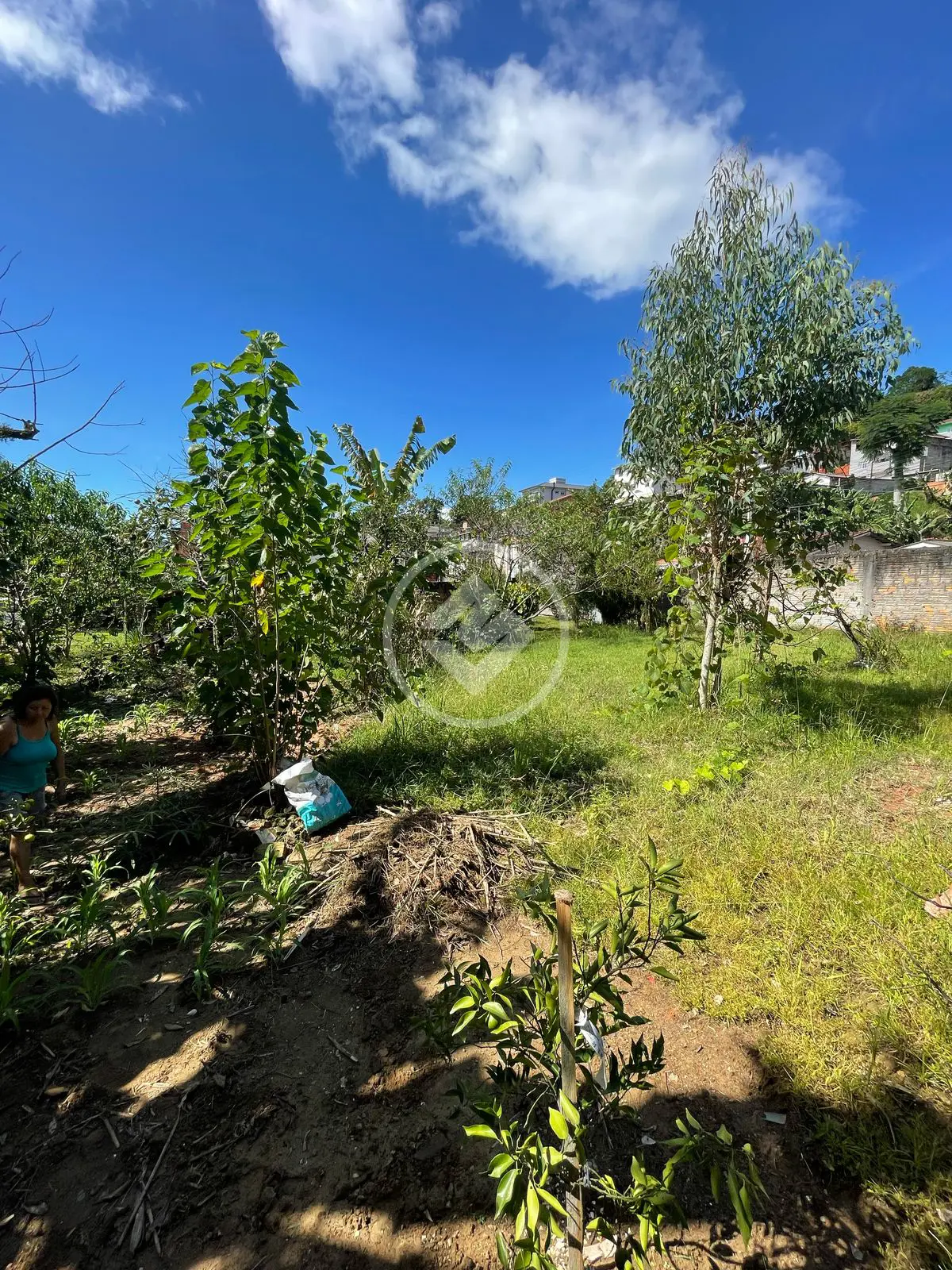 Terreno Ipiranga, São José - SC — foto 1