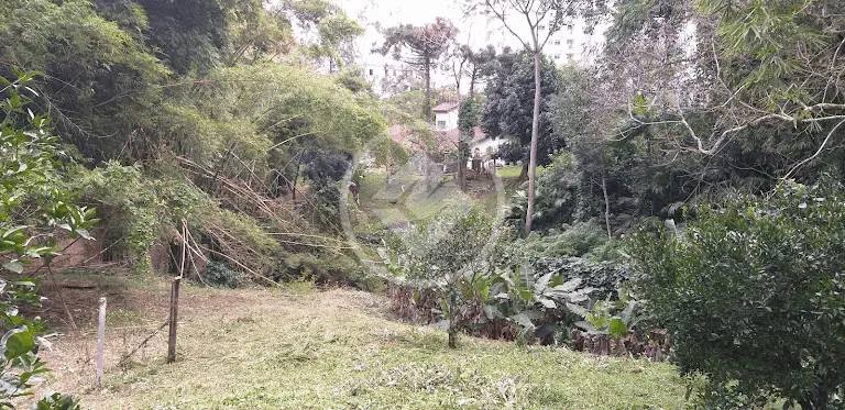 Imagem 4 - Terreno em Itacorubi, Florianópolis - SC