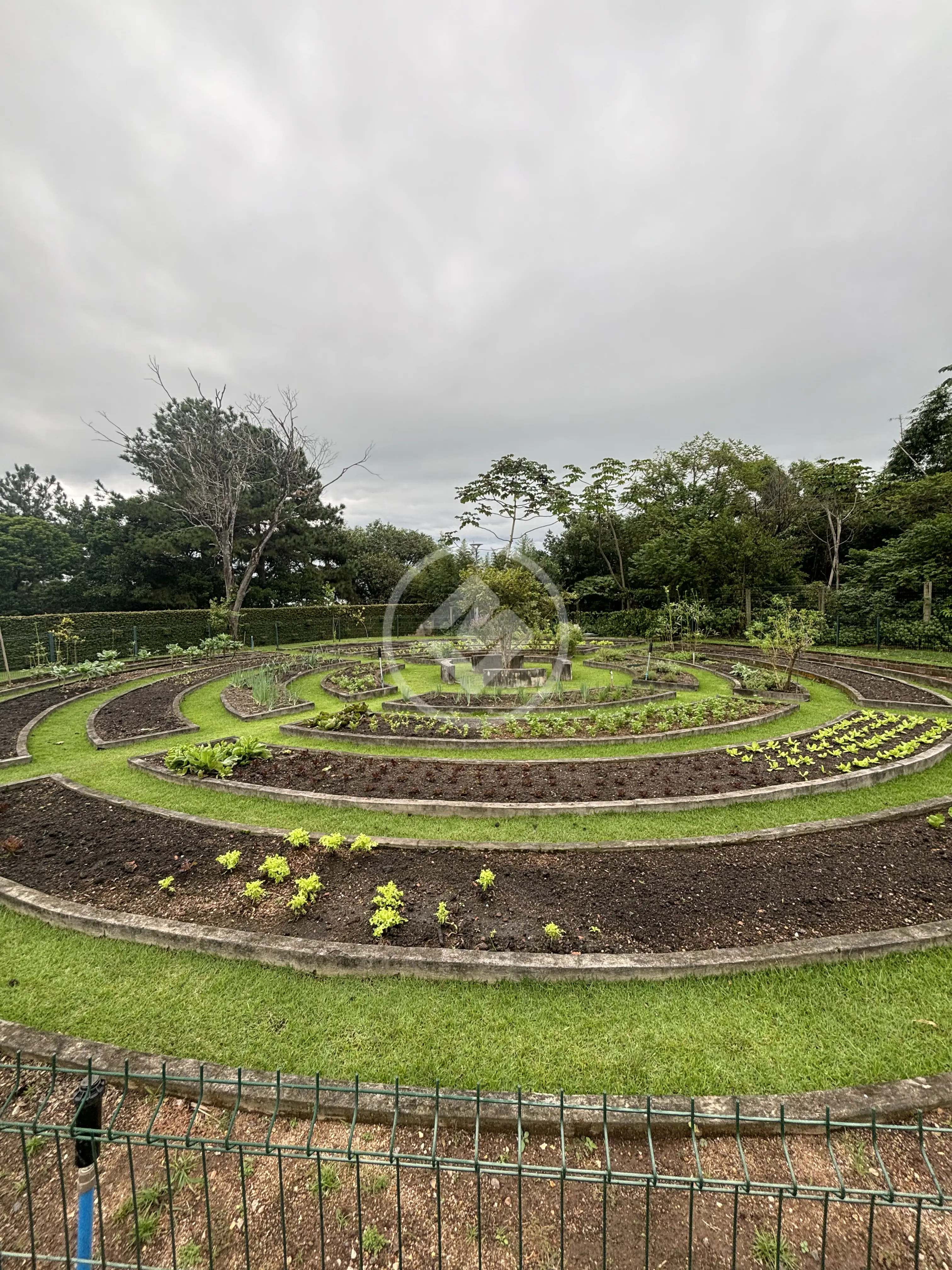 Imagem 5 - Terreno Condomínio em Cacupé, Florianópolis - SC