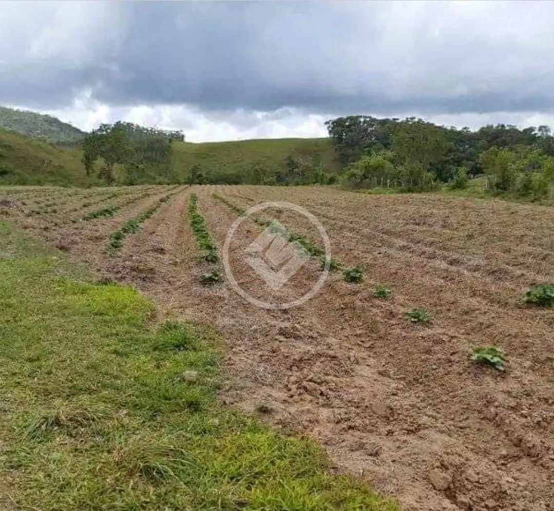 Chácara Deltaville, Biguaçu - SC — foto 1