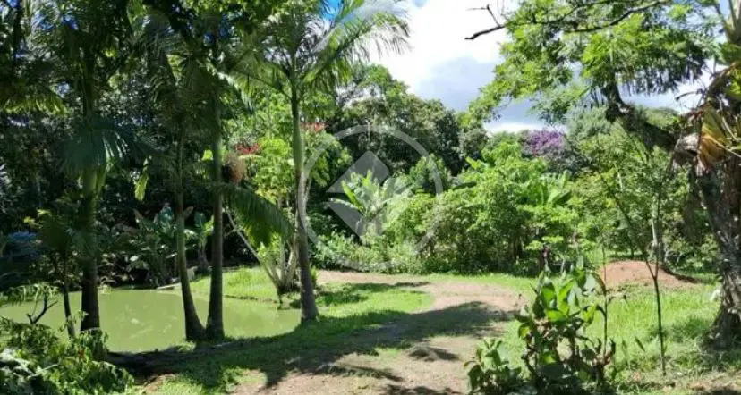 Chácara Centro, Santo Amaro da Imperatriz - SC — foto 2