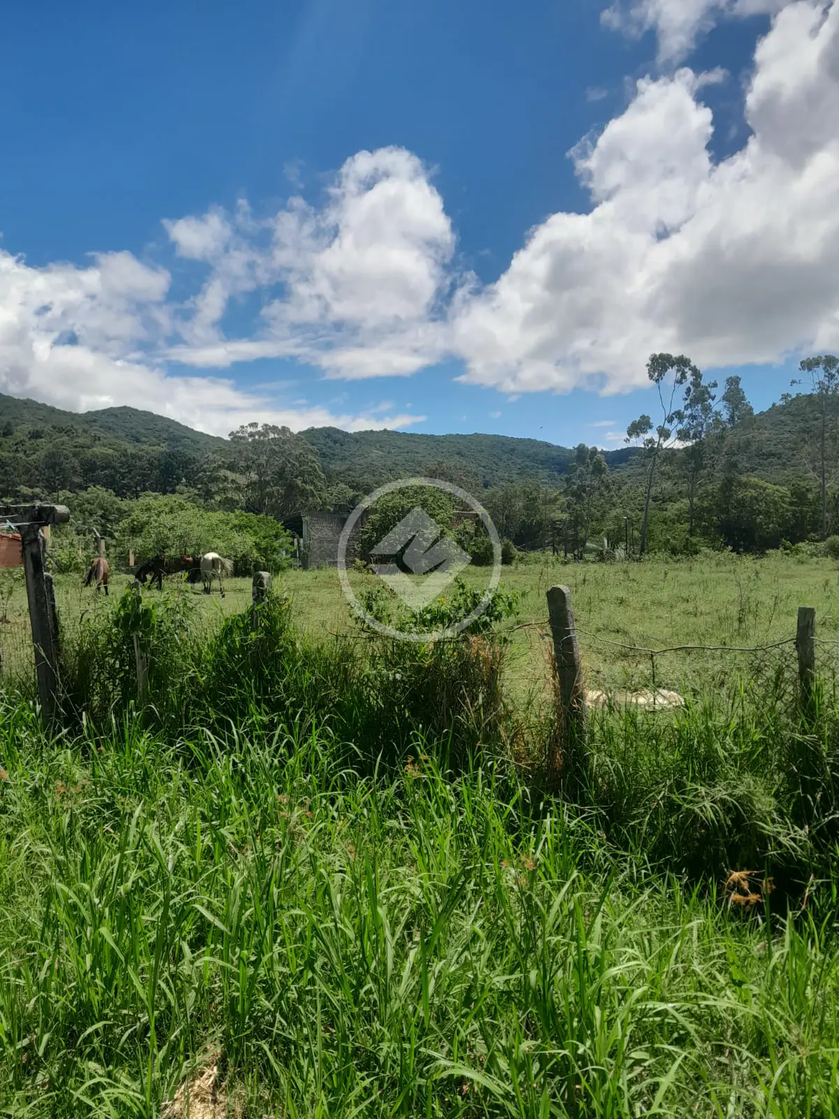 Imagem 3 - Sítio em Ratones, Florianópolis - SC