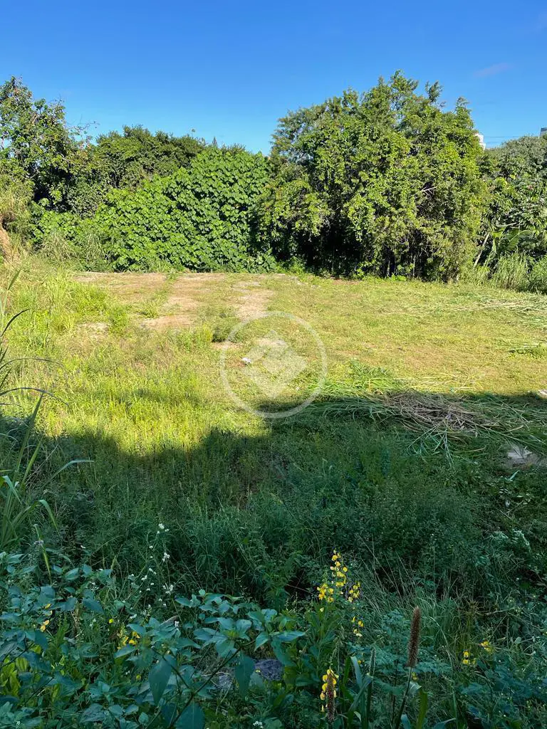 Imagem 4 - Terreno em ESTREITO, Florianópolis - SC