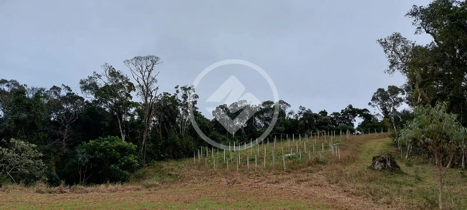 Imagem 6 - Terreno em Invernadinha, Rancho Queimado - SC