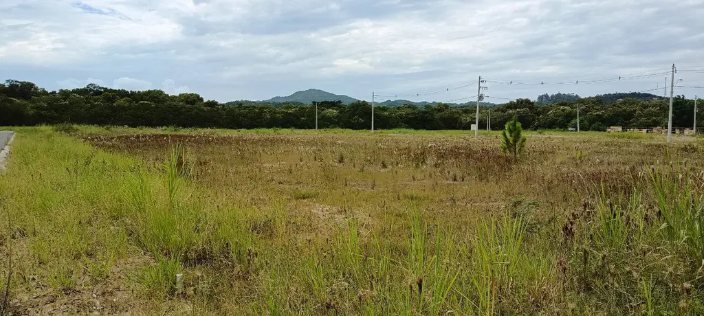 Imagem 3 - Apartamento em Vargem Grande, Florianópolis - SC