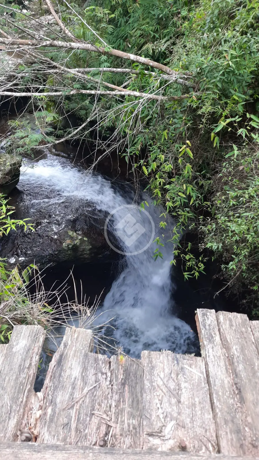 Imagem 2 - Sítio em Rural, Alfredo Wagner - SC