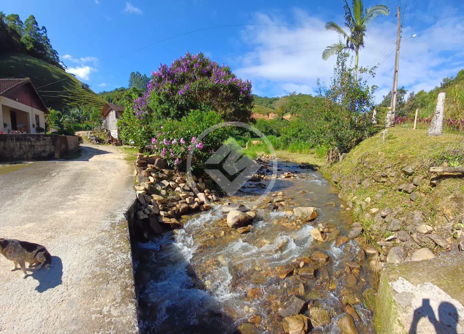 Image 18 - Sítio em Zona Rural, São Pedro de Alcântara - SC