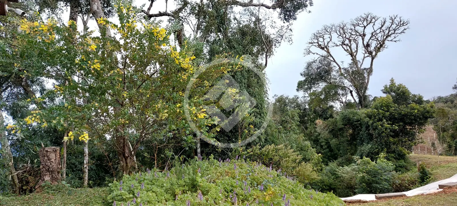 Imagem 2 - Terreno em Invernadinha, Rancho Queimado - SC