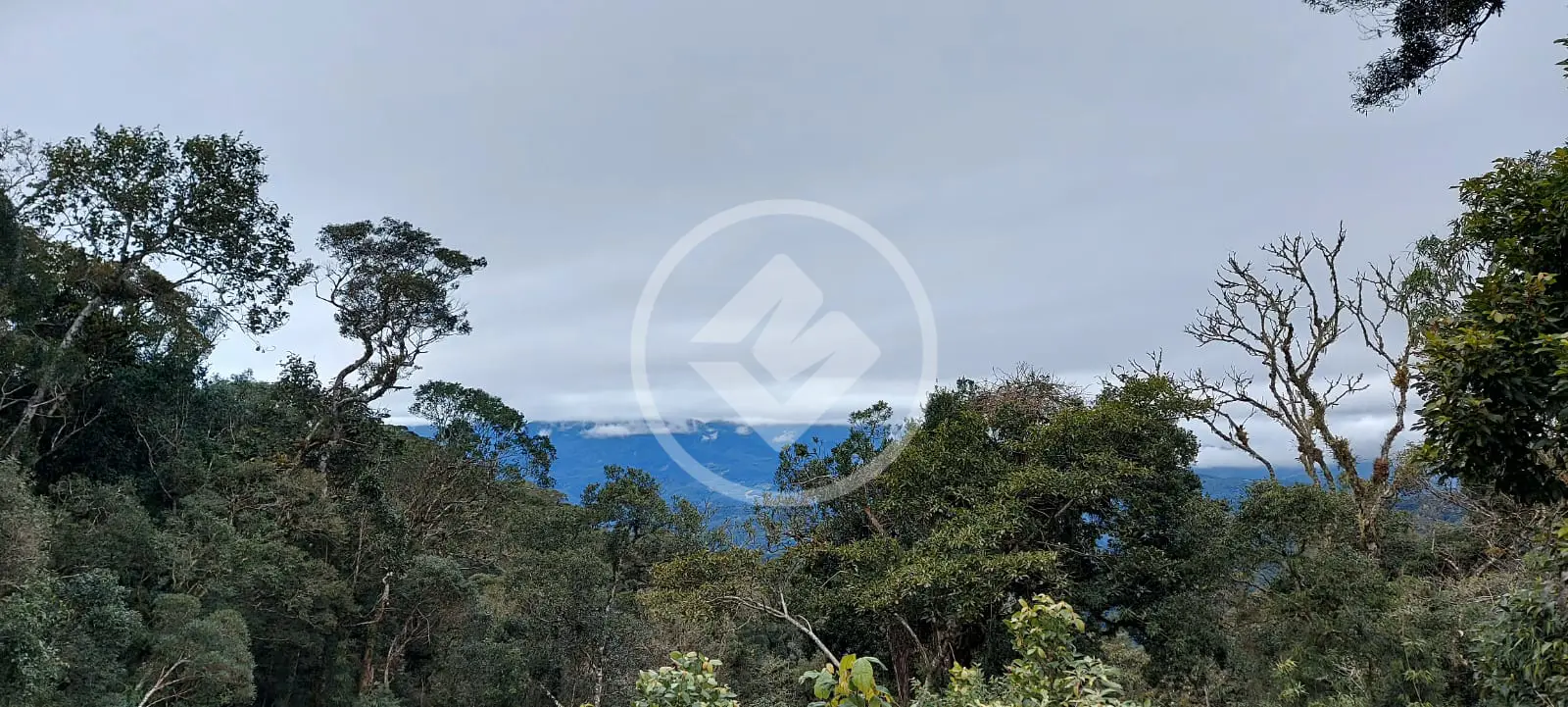Imagem 3 - Terreno em Invernadinha, Rancho Queimado - SC