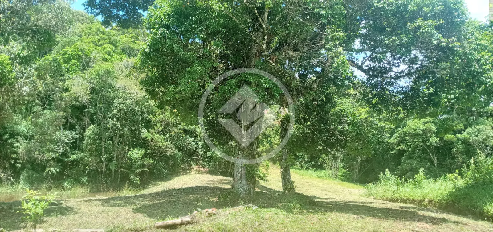 Sítio Invernadinha, Rancho Queimado - SC — foto 2