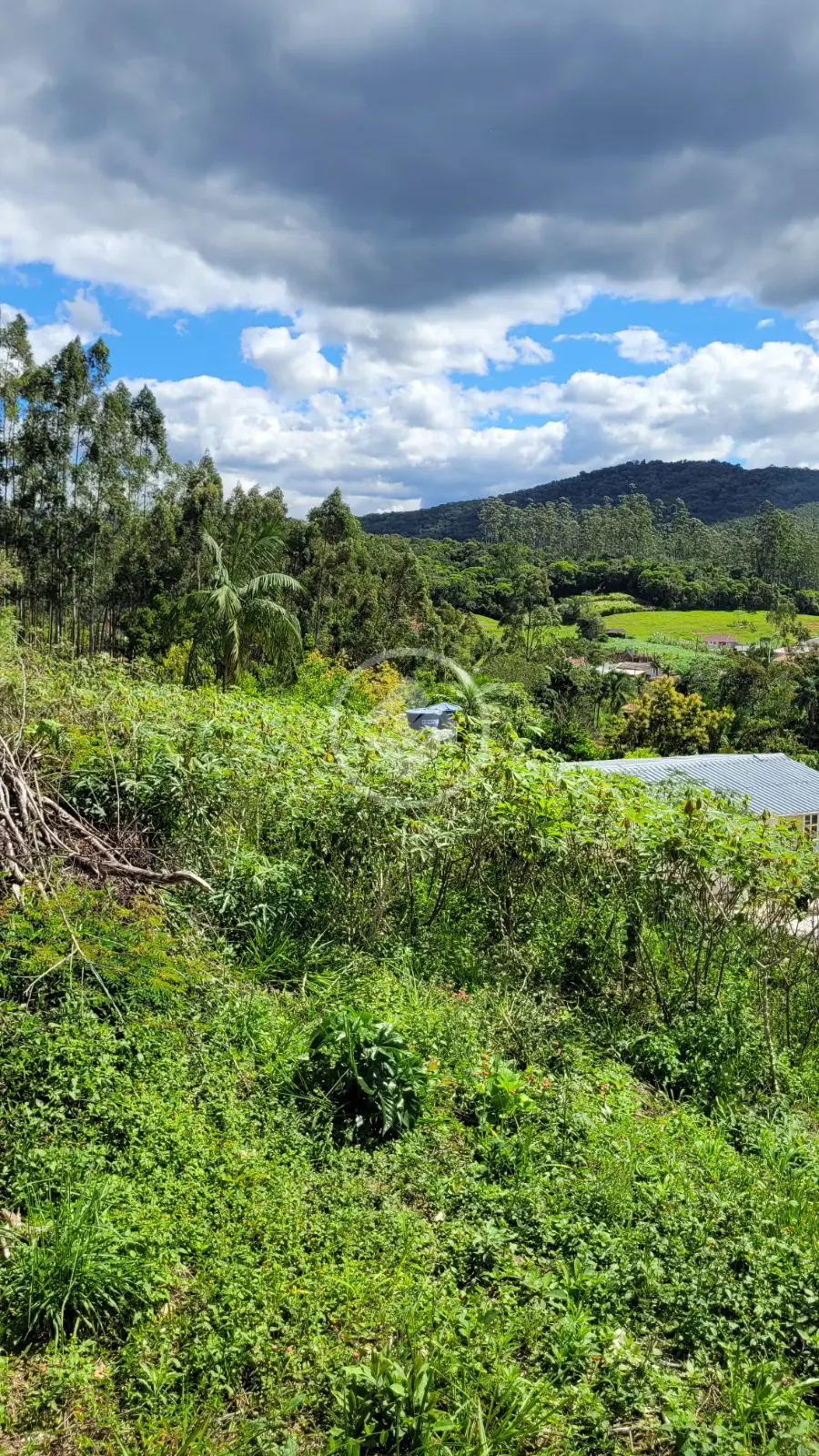 Imagem 3 - Terreno em Centro, Santo Amaro da Imperatriz - SC