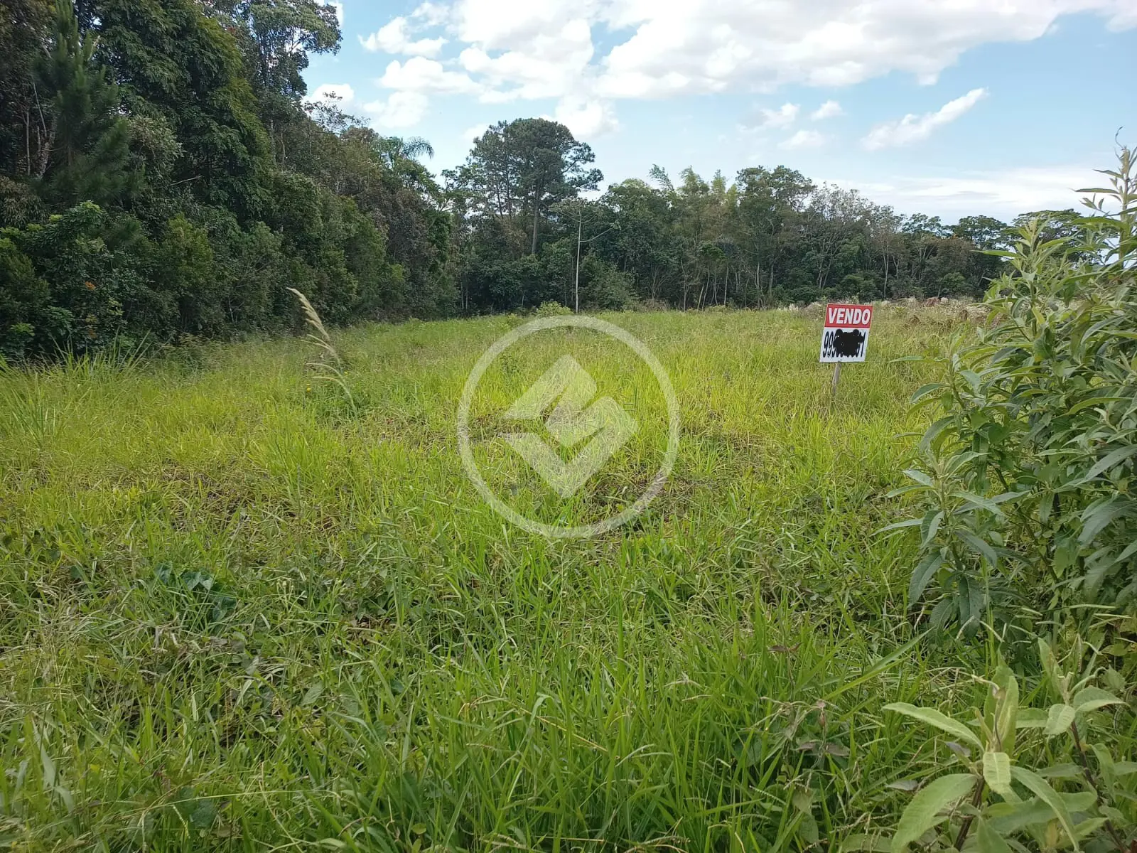 Imagem 6 - Terreno em Forquilhas, São José - SC