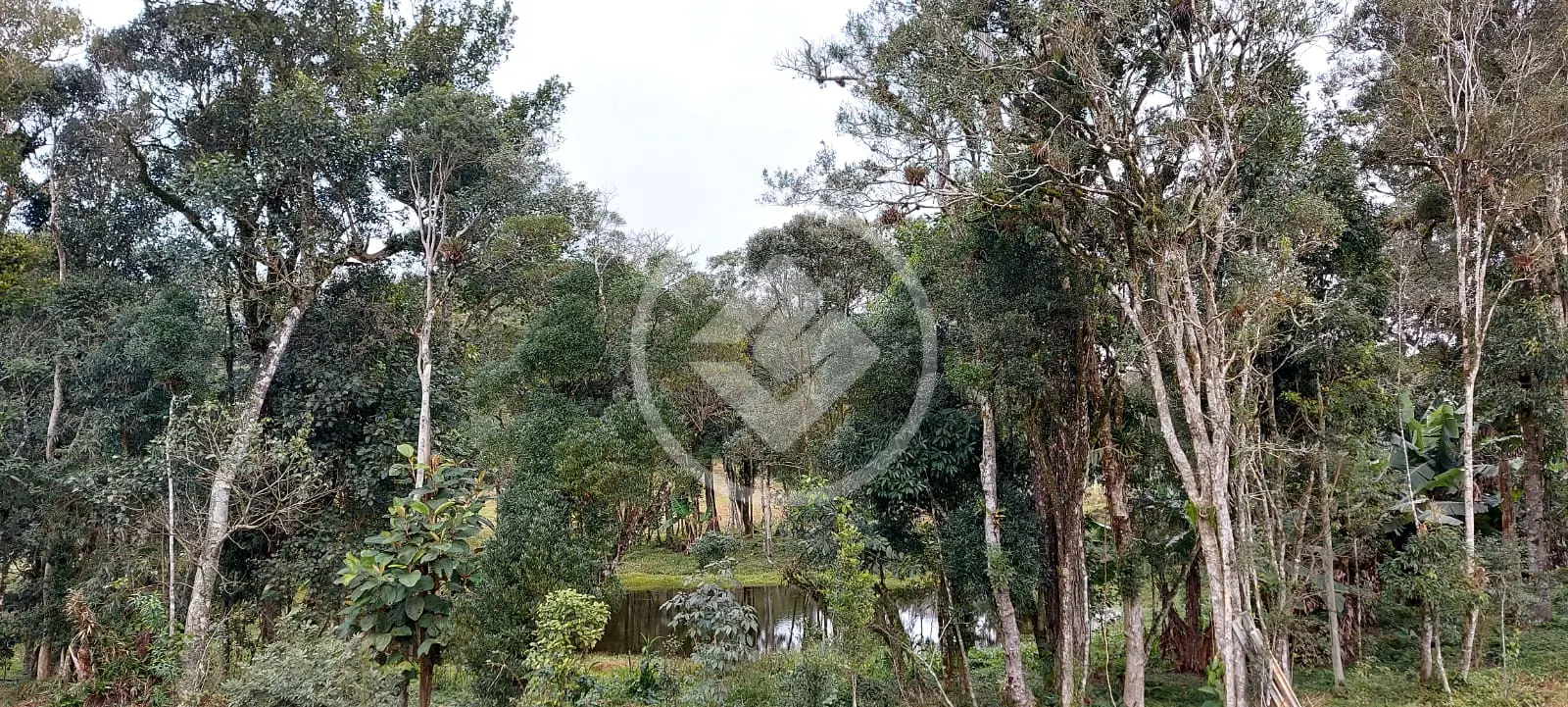 Imagem 5 - Terreno em Invernadinha, Rancho Queimado - SC