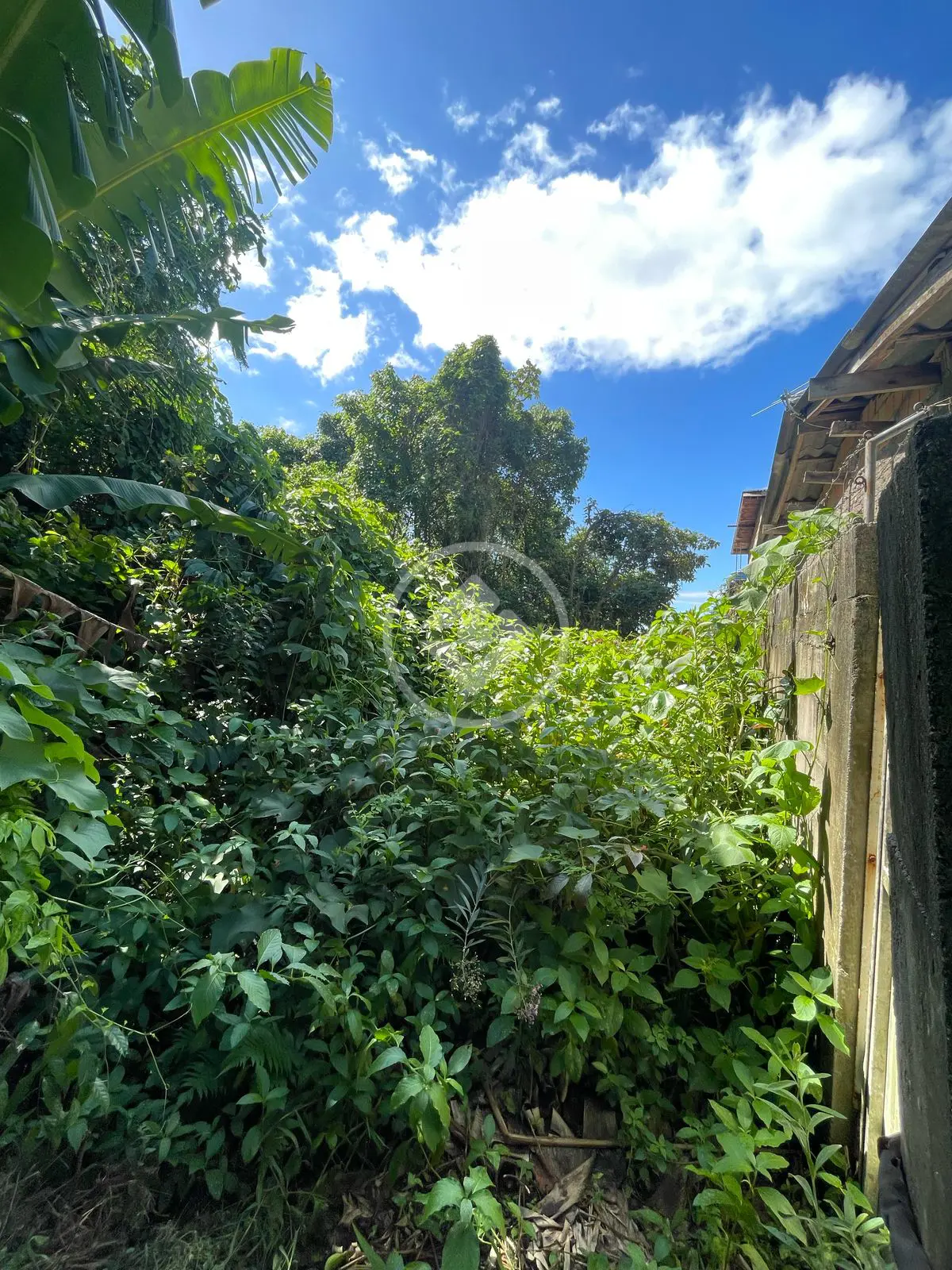 Imagem 6 - Terreno em Ipiranga, São José - SC