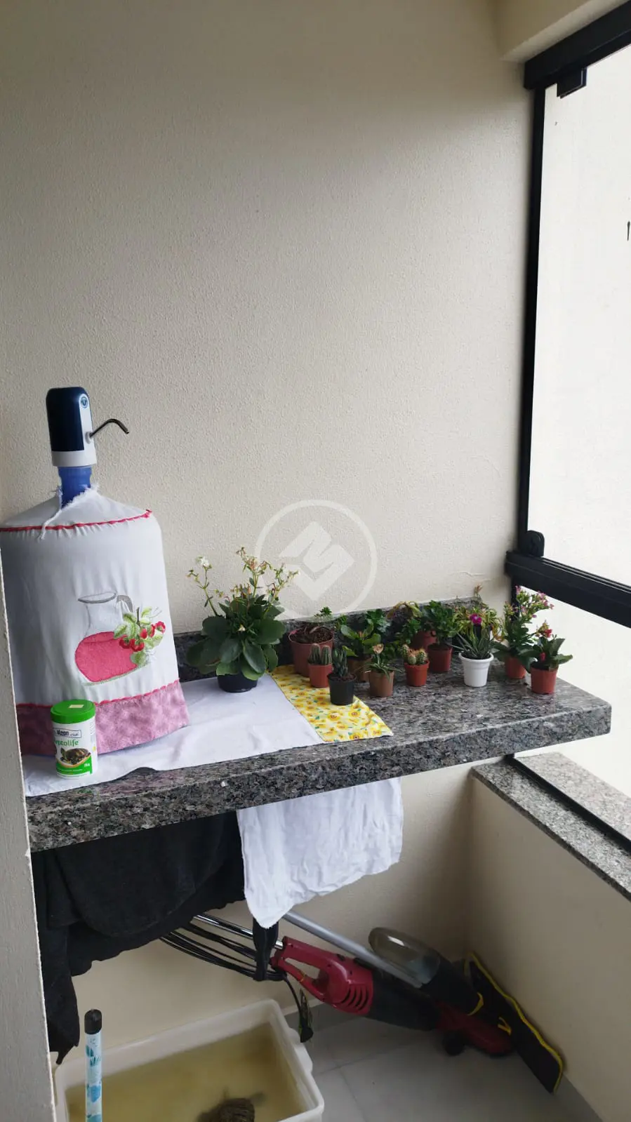 Imagem 4 - Apartamento em Nova Palhoça, Palhoça - SC