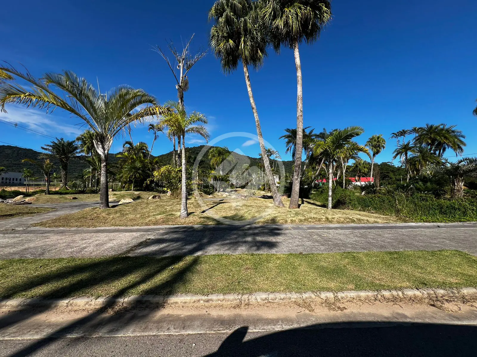 Imagem 4 - Terreno em Ingleses do Rio Vermelho, Florianópolis - SC