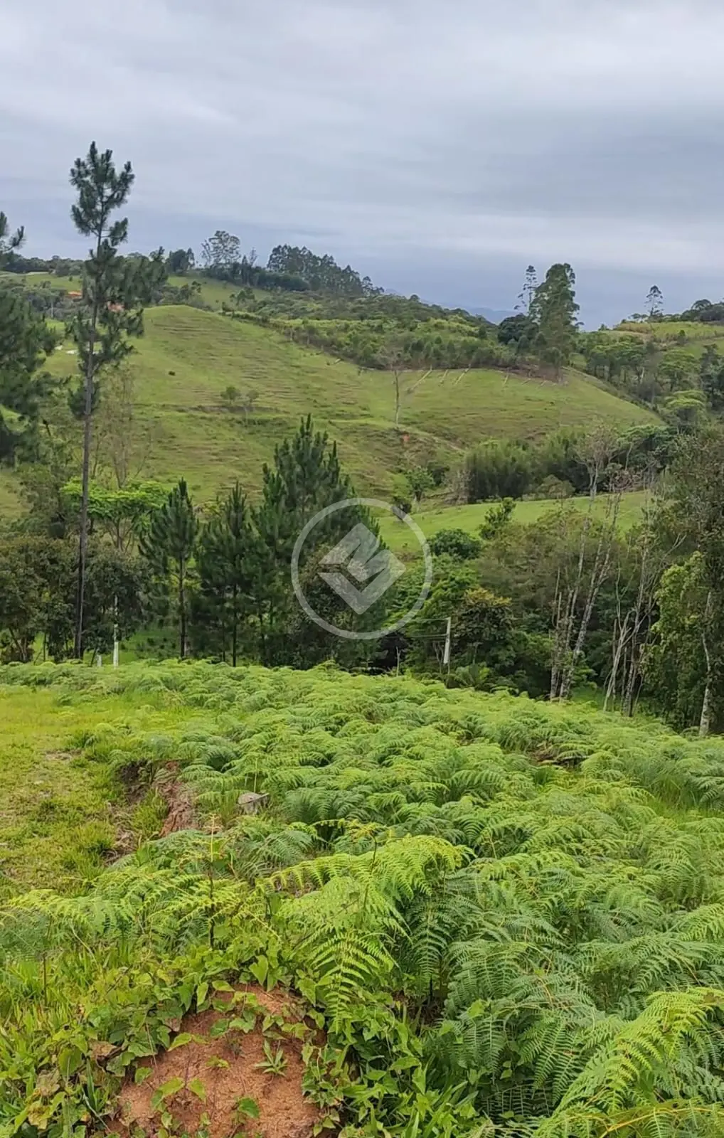 Imagem 4 - Terreno em Centro, Santo Amaro da Imperatriz - SC