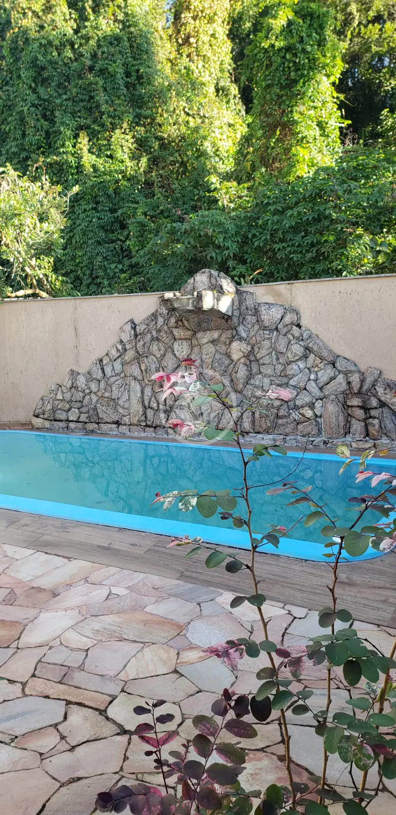 Imagem 6 - Casa em Pantanal, Florianópolis - SC