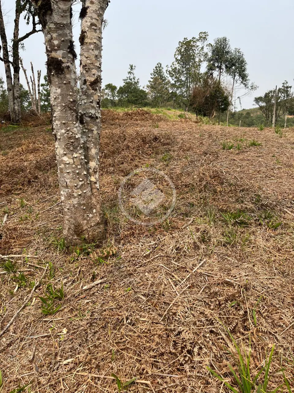 Imagem 5 - Terreno Condomínio em Invernadinha, Rancho Queimado - SC